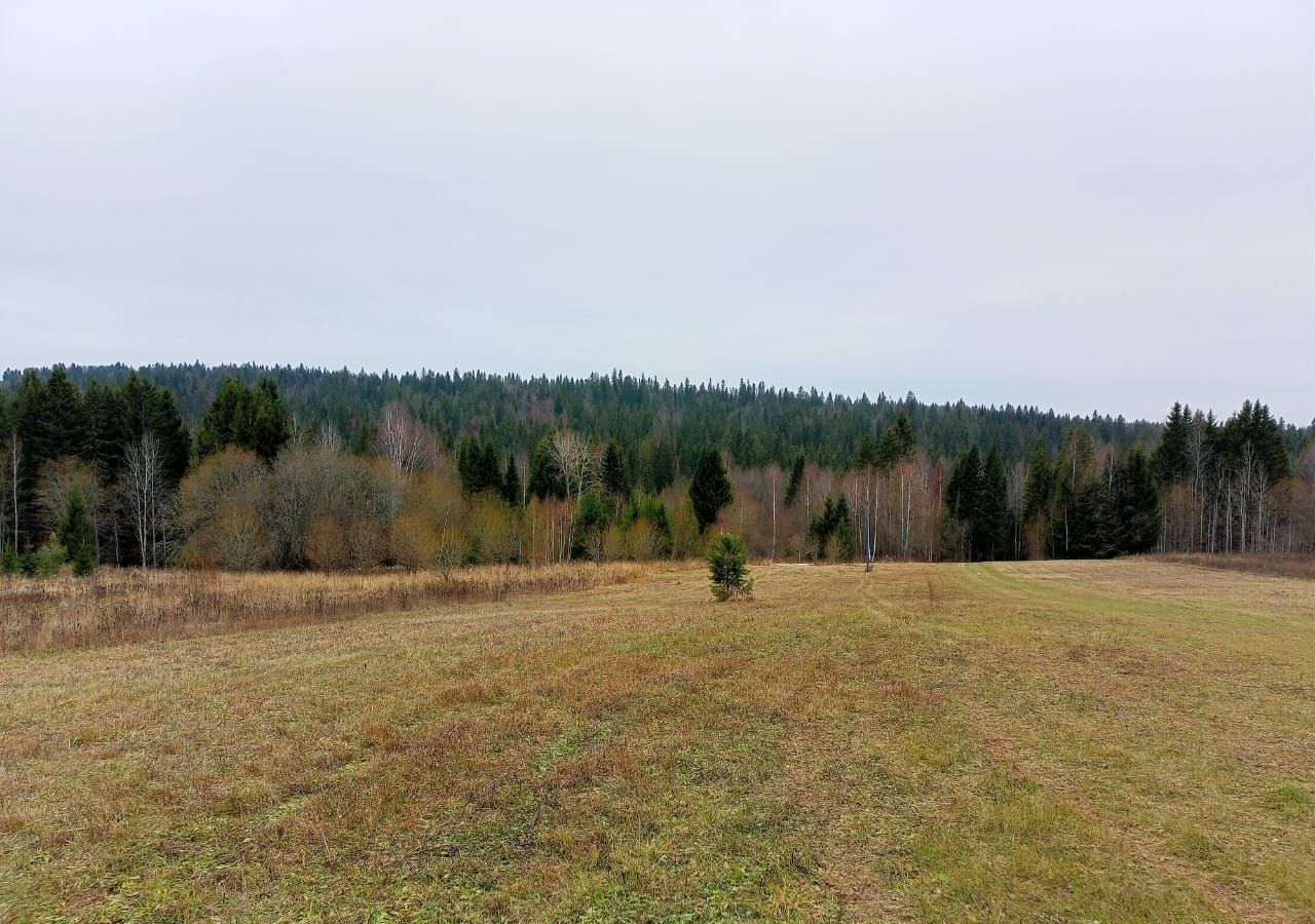 земля р-н Пермский д Глушата ул Центральная Пермь фото 8