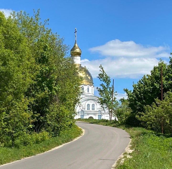 земля р-н Пензенский с Соловцовка пер Садовый сельсовет, Оленевский фото 16