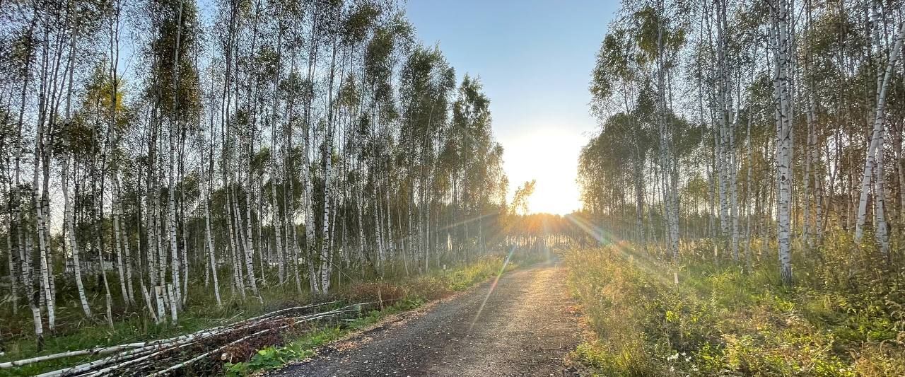 земля городской округ Дмитровский д Афанасово 3 фото 1