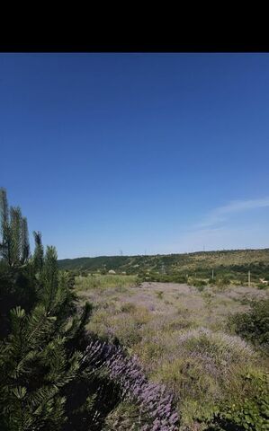 с пос, Симферопольский район фото