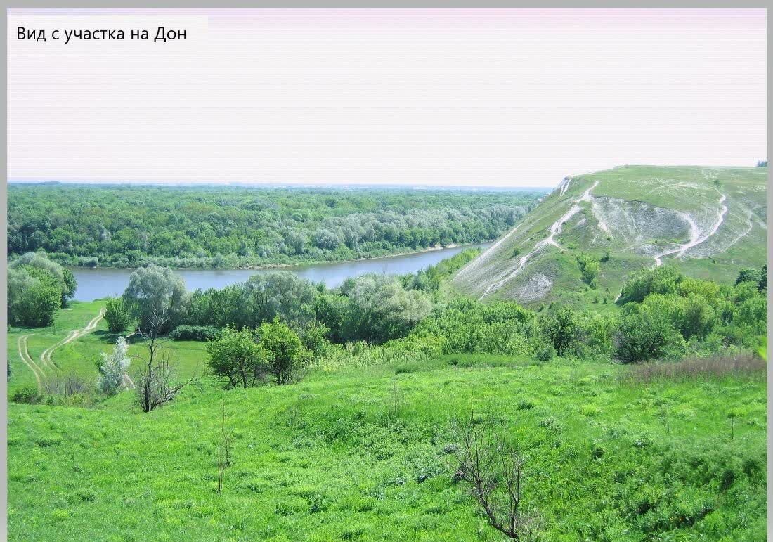 земля р-н Подгоренский х Кирпичи ул Парусная 1/5 Белогорьевское сельское поселение, Павловск фото 9