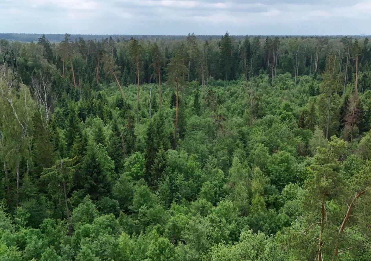 земля г Лосино-Петровский д Кармолино ул Спасская 4 рп Свердловский 9754 км, Щёлковское шоссе фото 8