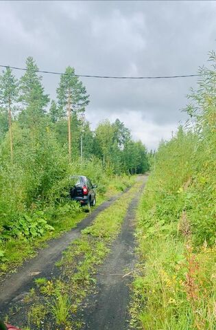 земля Новодвинск фото