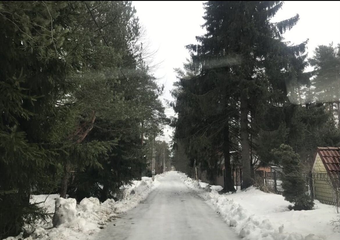 земля г Санкт-Петербург п Белоостров р-н Курортный ул Вишнёвая Александровское шоссе, 13 км фото 15