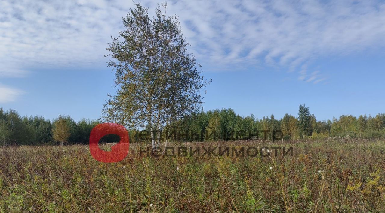 земля г Тюмень р-н Ленинский СОСН Агросад-Тюмень тер., 2-я линия, 99 фото 4