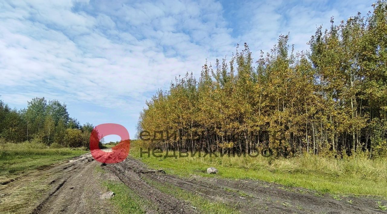 земля г Тюмень р-н Ленинский СОСН Агросад-Тюмень тер., 1-я линия, 92 фото 10