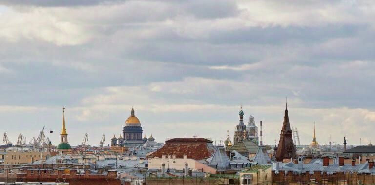 квартира г Санкт-Петербург метро Чернышевская ул Чайковского 61 округ Смольнинское фото 16