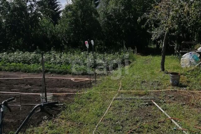 земля городской округ Барнаул, Октябрьский фото