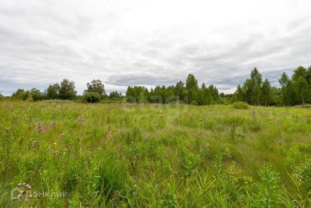 городской округ Тюмень, микрорайон Березняковский фото