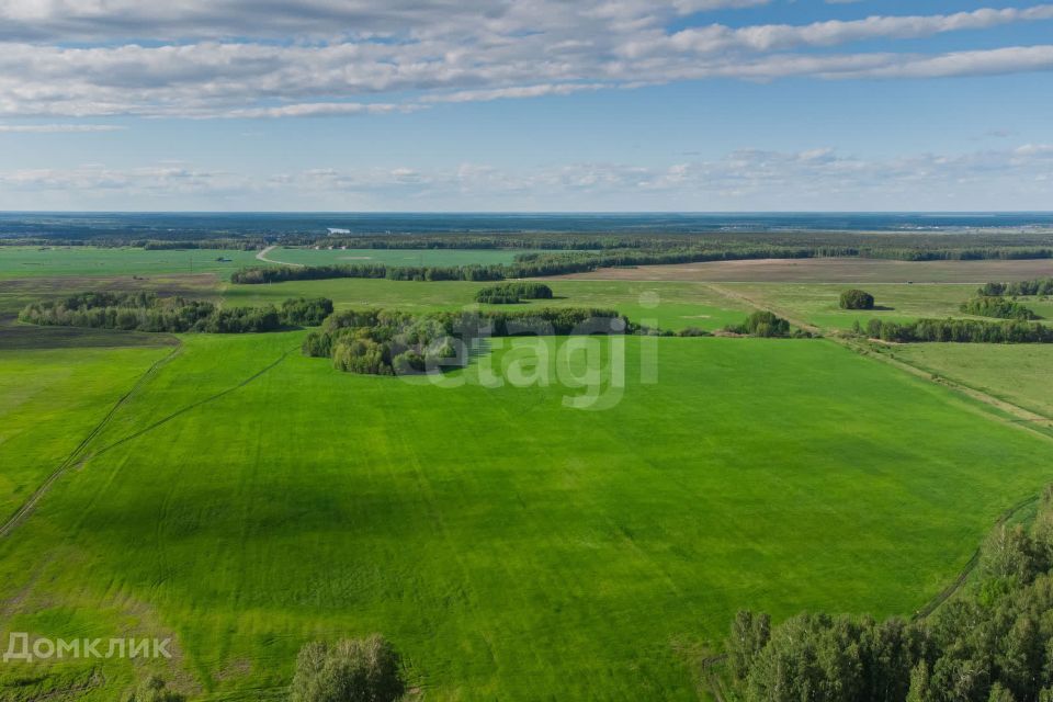 земля р-н Ленинский село Каменское фото 2