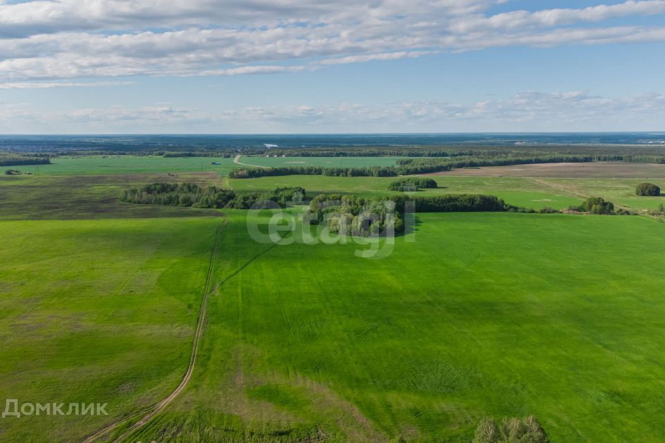 земля р-н Ленинский село Каменское фото 4