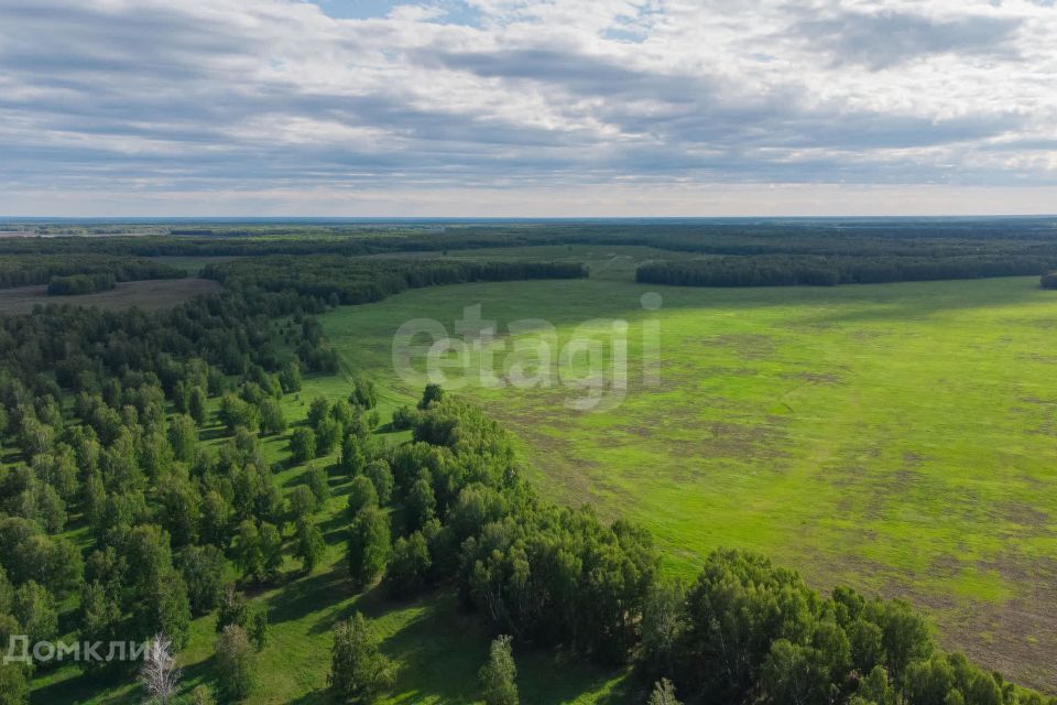 земля р-н Тюменский село Каменка фото 3