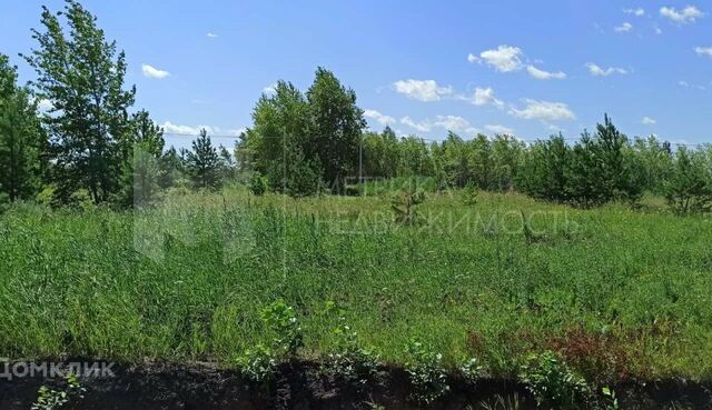 городской округ Тюмень, Калининский фото