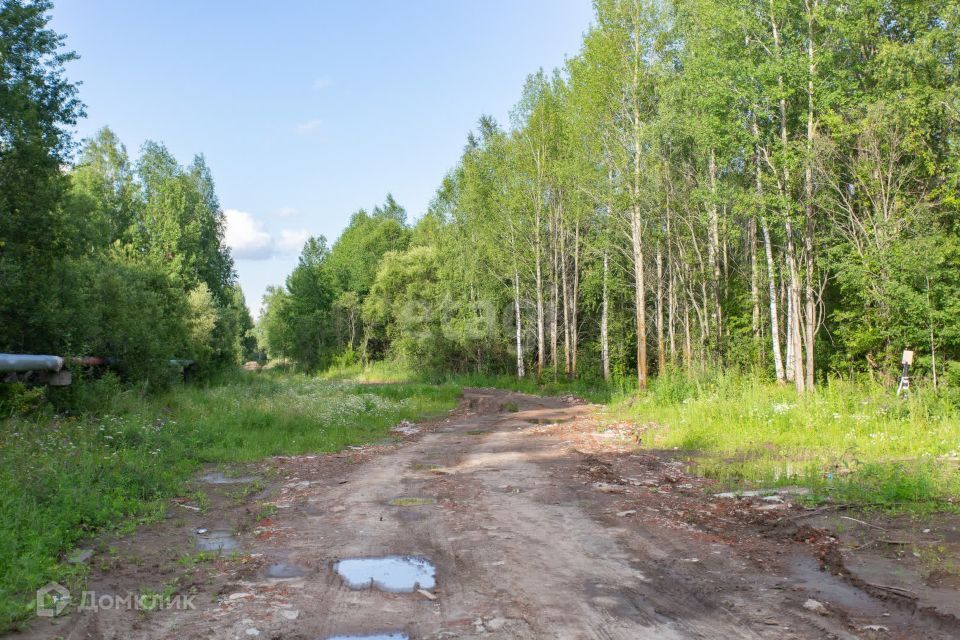 земля г Тобольск Центральная улица, городской округ Тобольск фото 1