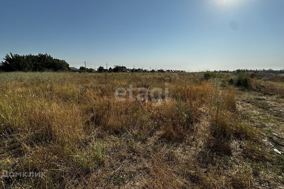 земля р-н Динской село Примаки фото 1