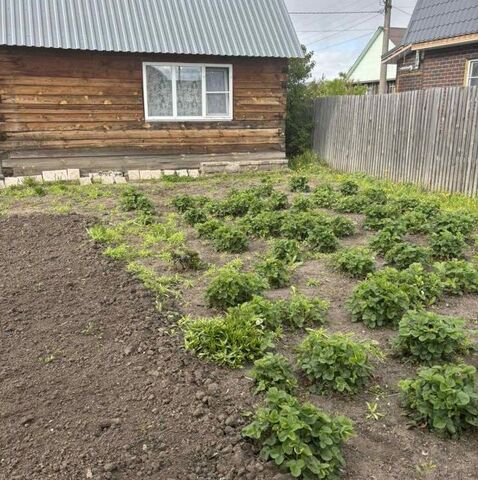 городской округ Курган, СНТ Зауралье фото