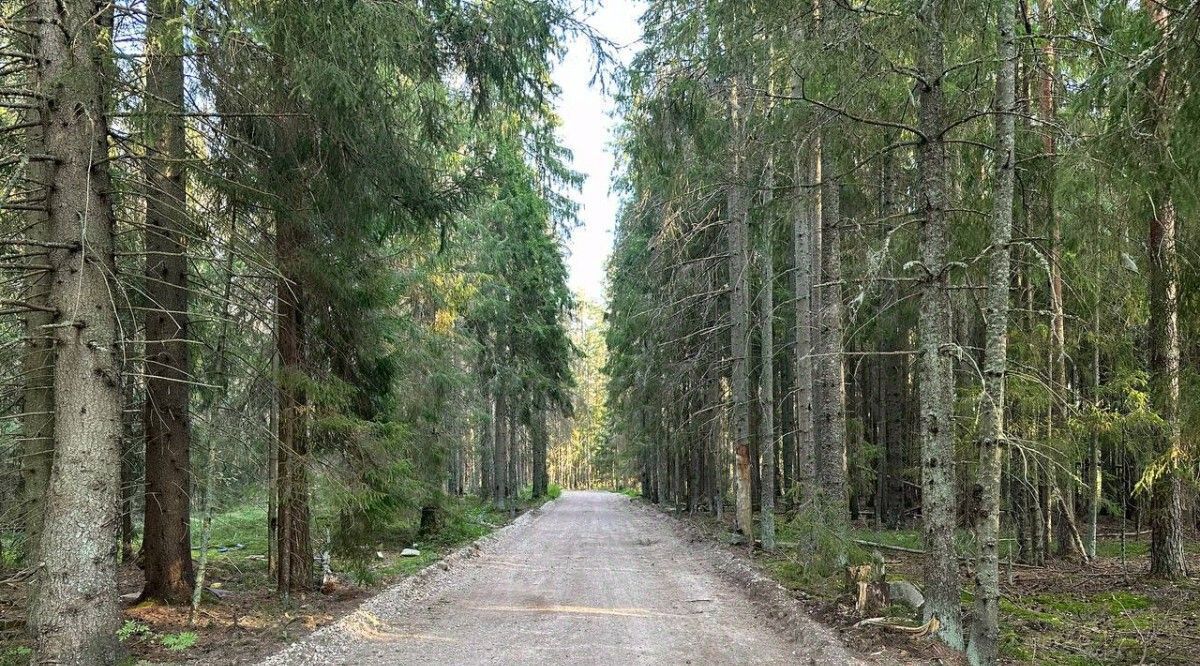 земля р-н Выборгский п Поляны Полянское сельское поселение фото 14