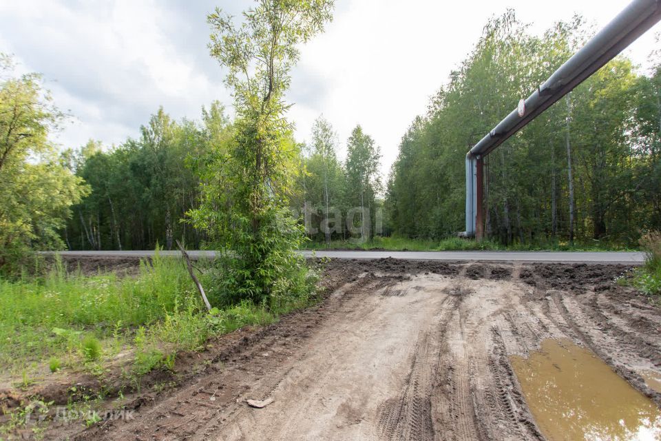 земля г Тобольск Центральная улица, городской округ Тобольск фото 5