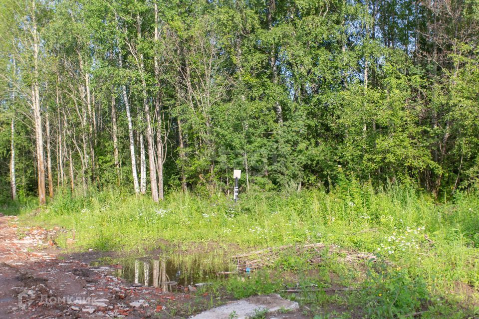 земля г Тобольск Центральная улица, городской округ Тобольск фото 9