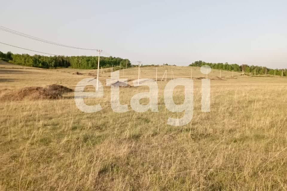 земля г Красноярск р-н Центральный ул Петра Подзолкова 3 городской округ Красноярск фото 5