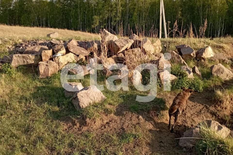 земля г Красноярск р-н Центральный ул Петра Подзолкова 3 городской округ Красноярск фото 8