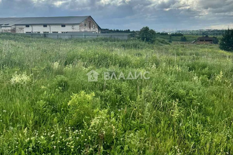 земля р-н Суздальский село Богослово фото 8