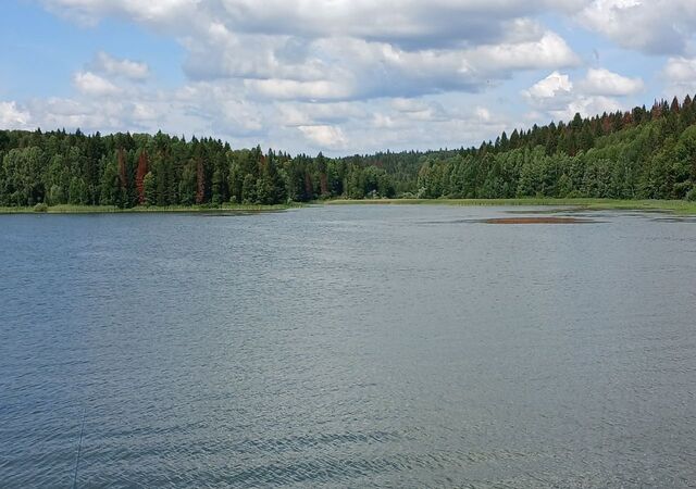 д Растягаево Пермь фото