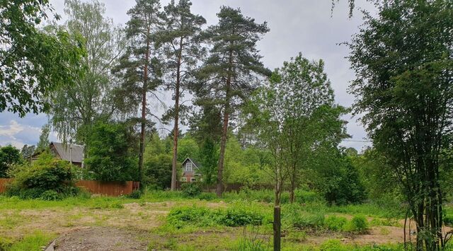 земля р-н Гатчинский п Вырица ул Сосновая Вырицкое городское поселение фото