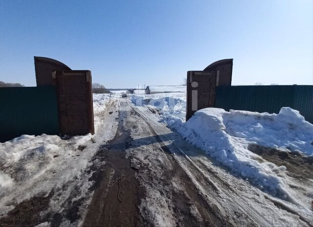 земля Бородинское, муниципальное образование фото