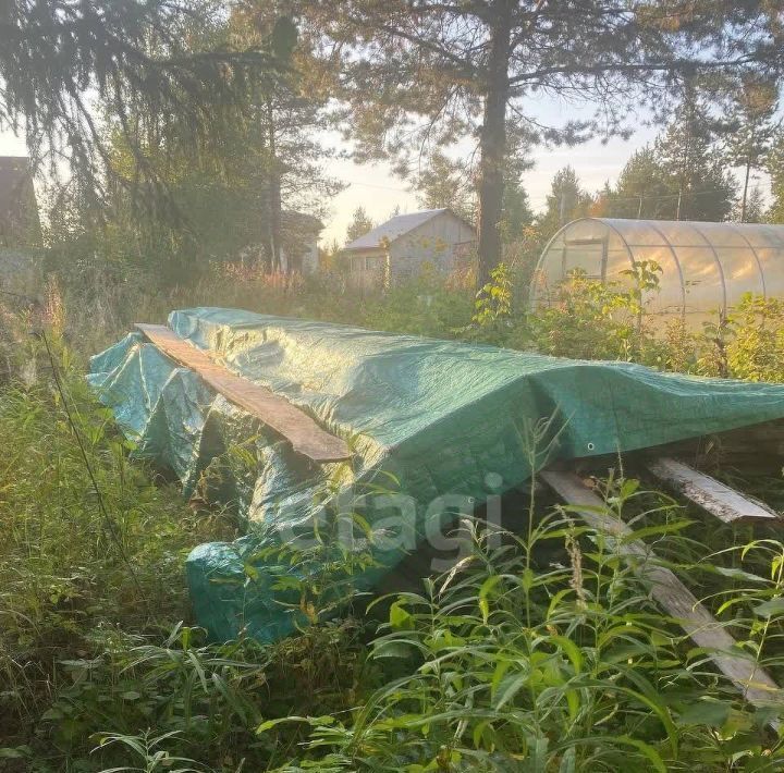 дом р-н Приморский д Лахта снт Березка Северодвинск, муниципальное образование фото 9