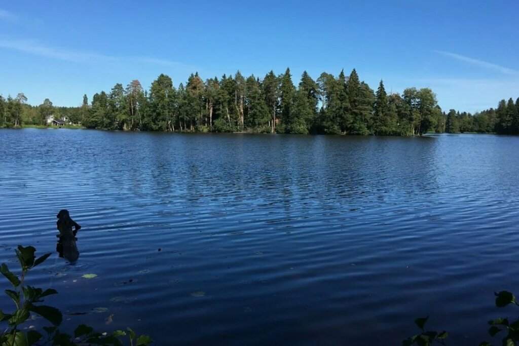 земля р-н Выборгский п Лебяжье Рощинское городское поселение фото 2