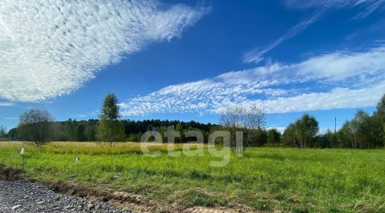 земля Тула, д. Кудрино фото 2