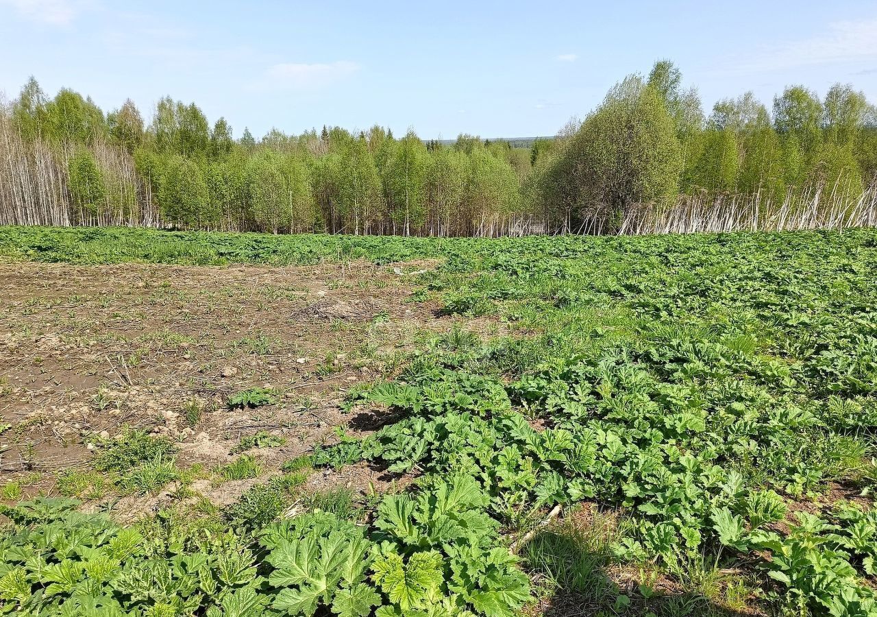 земля р-н Сыктывдинский с Лэзым муниципальное образование Лэзым, Выльгорт фото 1