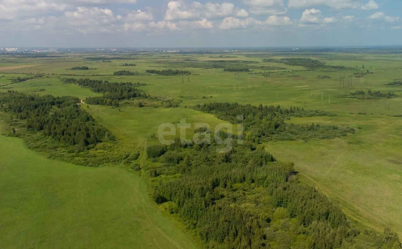 земля р-н Тюменский с Яр ул Почтовая Тюмень фото 7