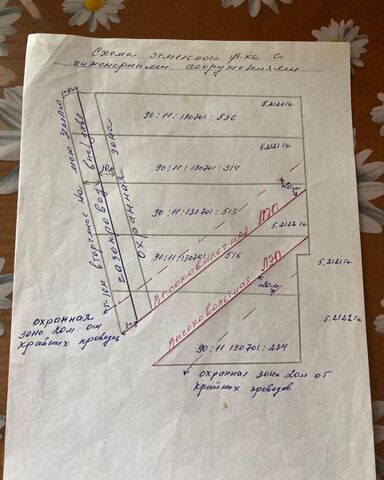 земля р-н Сакский с Владимировка Лесновское сельское поселение, Саки фото