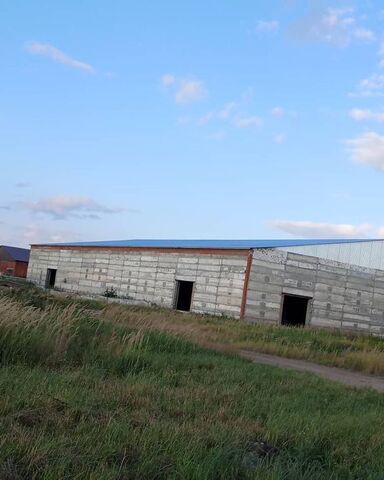 свободного назначения городское поселение Нижний Ломов фото