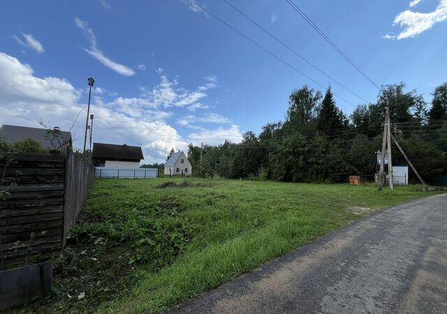 земля 49 км, садовое товарищество Ника, Старый Городок, Можайское шоссе фото