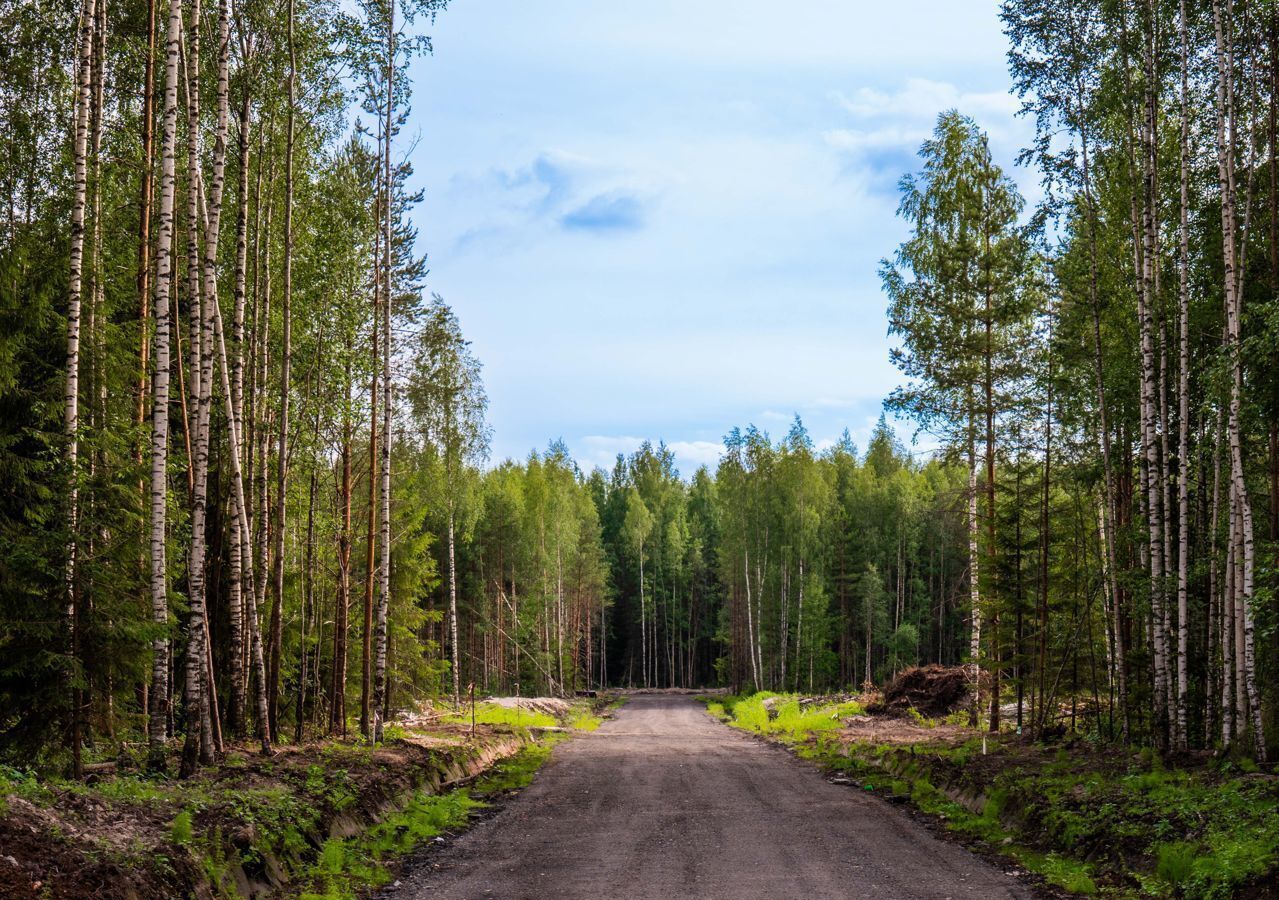 земля р-н Всеволожский г Всеволожск Дорога жизни, 12 км, Всеволожское городское поселение, коттеджный пос. Щеглово Сити, 125 фото 11