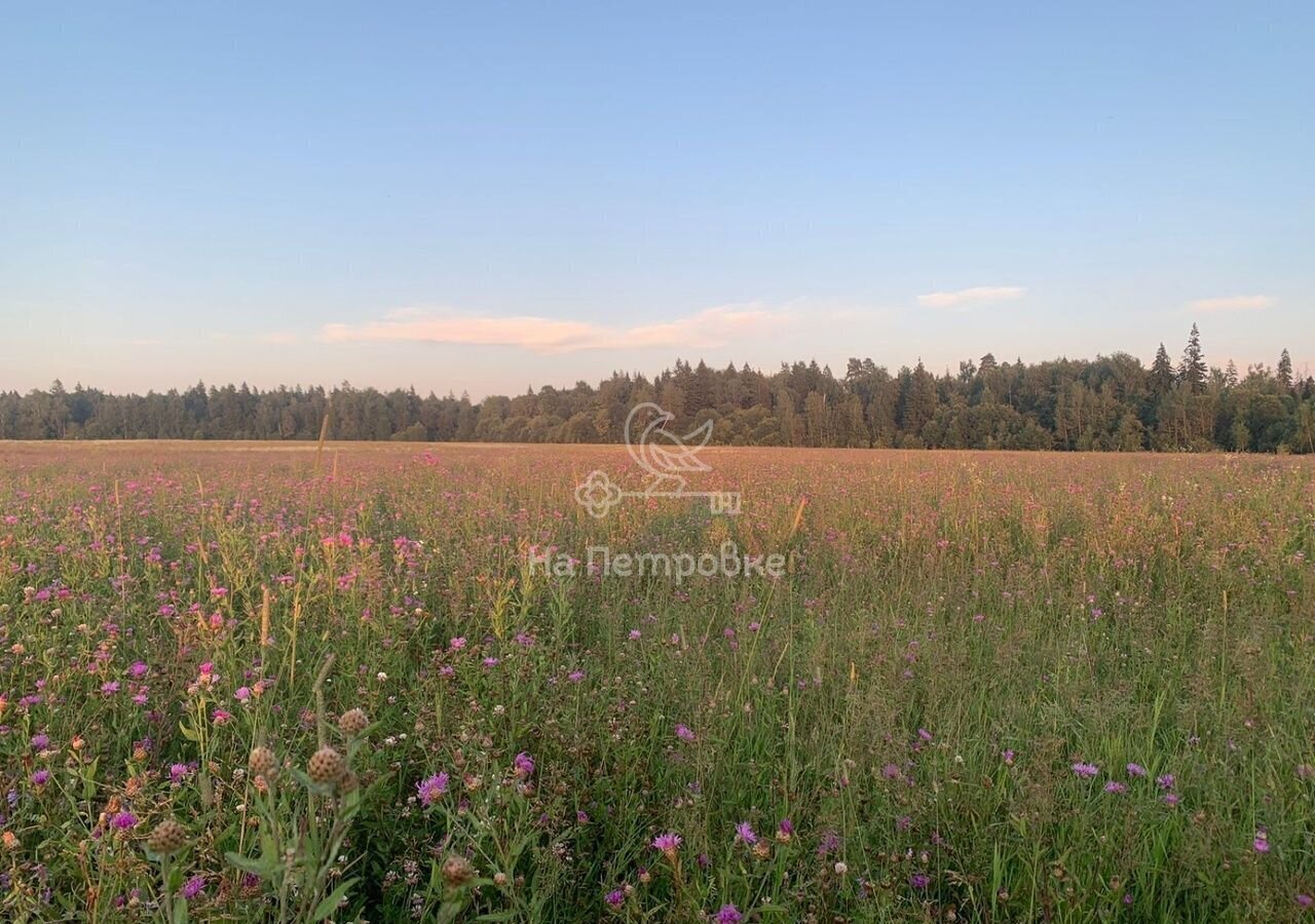 земля городской округ Истра г Снегири 9749 км, эко-посёлок Фут Хиллс, 11, г. о. Истра, Волоколамское шоссе фото 10