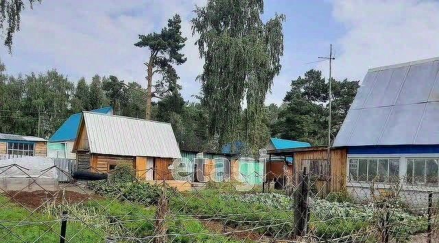 дом р-н Тюменский снт Птицевод ул Вишневая общество, садовое фото 17