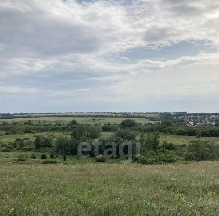 земля р-н Белгородский Тавровское с/пос, Смородинка садовое товарищество фото 2