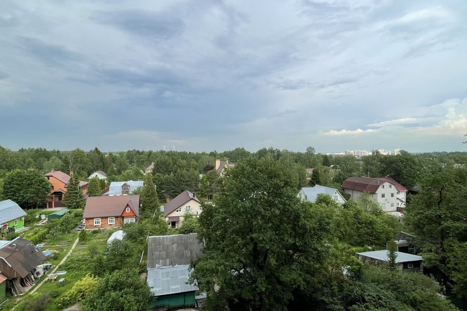 квартира г Москва п Кокошкино Новомосковский административный округ, улица Труда, 9 к 1 фото 2