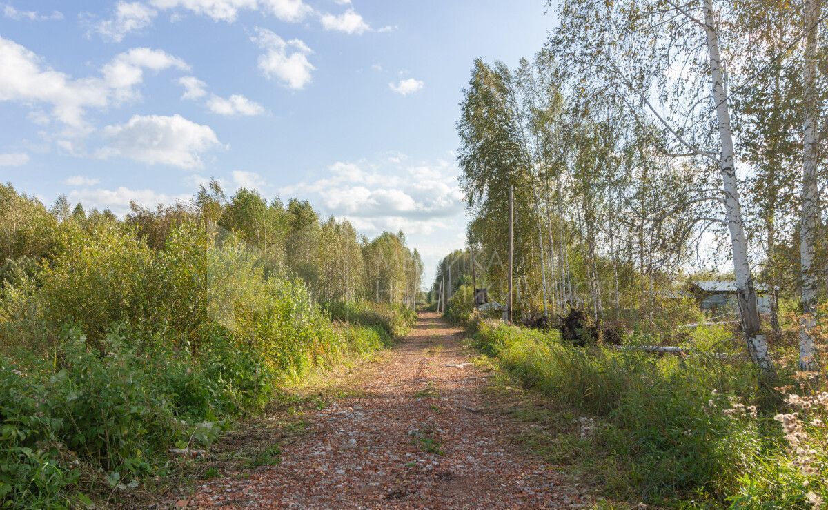 земля г Тюмень ул Соловьиная ТСН Строитель, Нижнетавдинский р-н фото 3