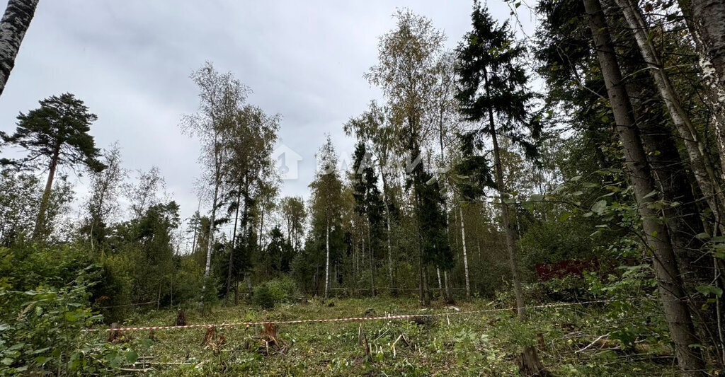 земля городской округ Солнечногорск с Алабушево ул Жасминовая фото 5