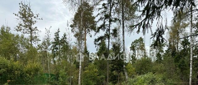 земля городской округ Солнечногорск с Алабушево ул Жасминовая Зеленоград — Крюково фото