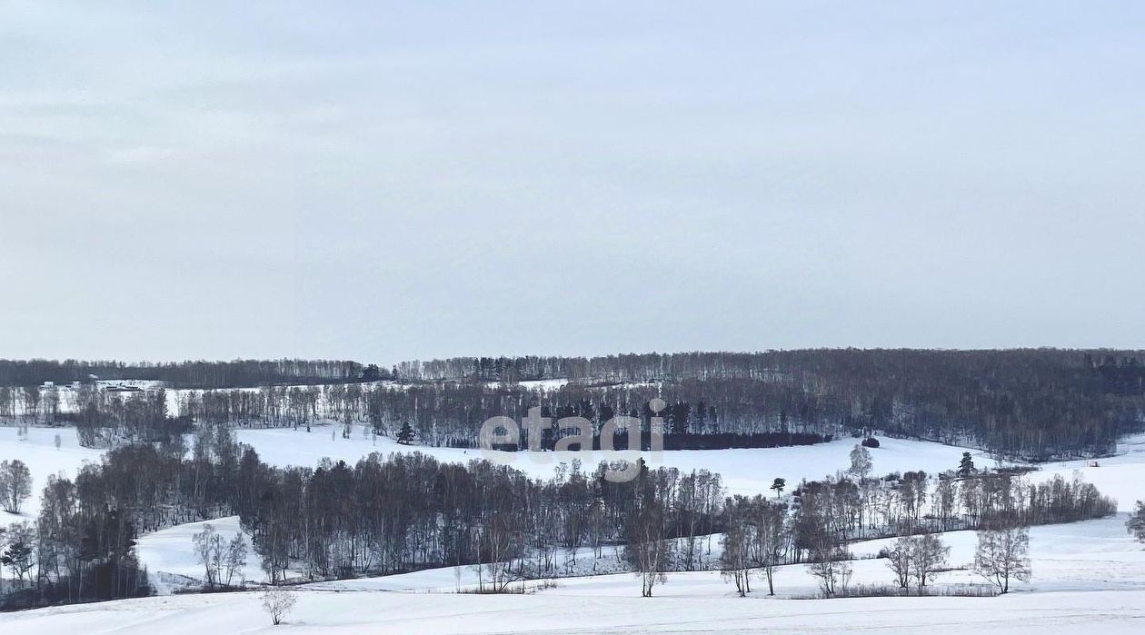 земля р-н Емельяновский д Ясная Поляна сельсовет, Никольский фото 5