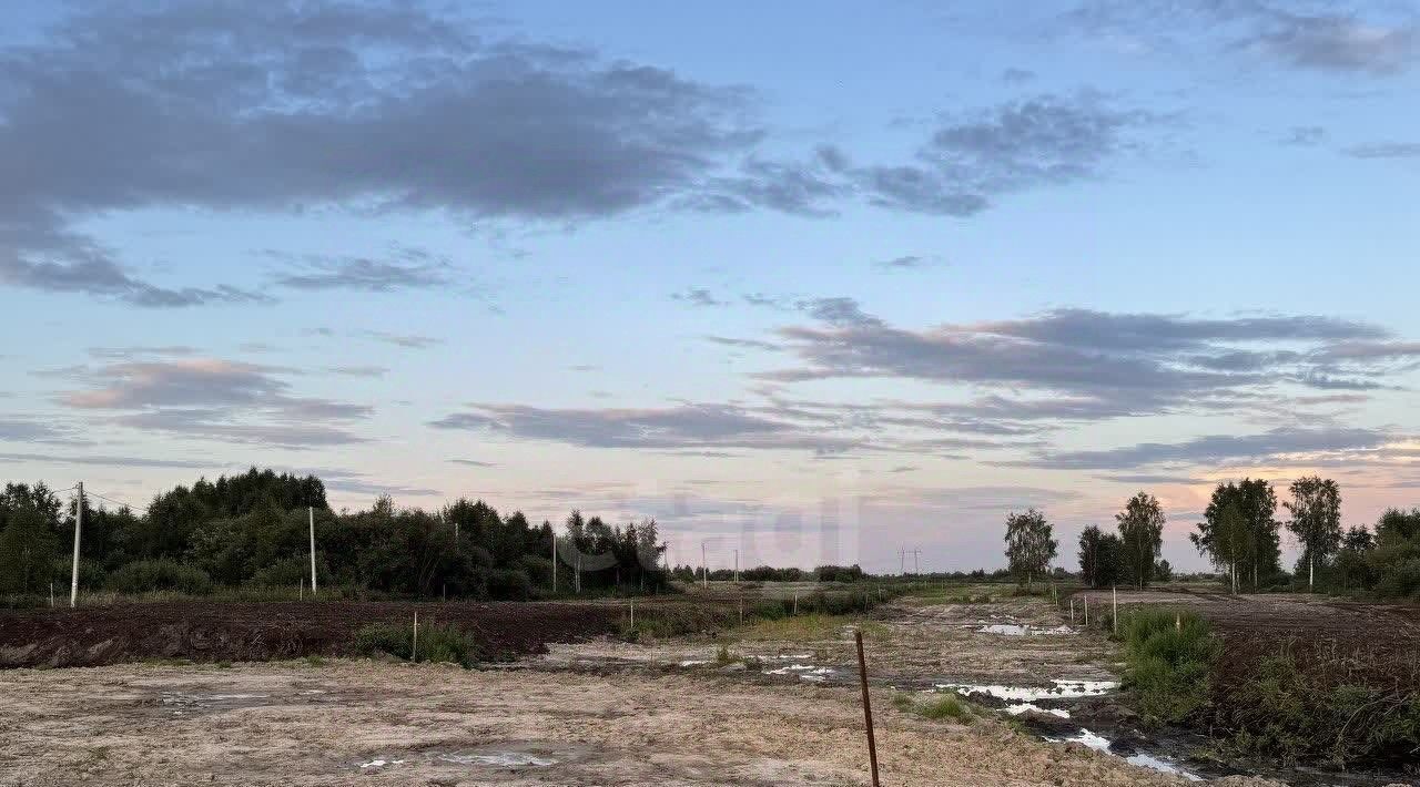 земля г Тюмень р-н Центральный Дубок садовое товарищество фото 1