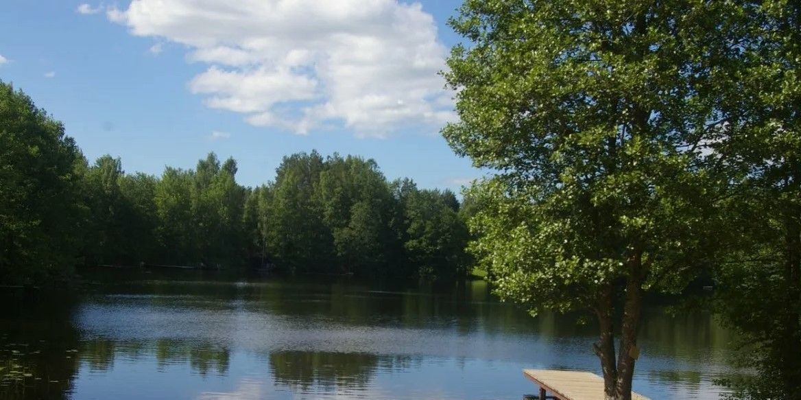 дом р-н Тосненский тер Костуя Любанское городское поселение, ул. Дачная фото 34