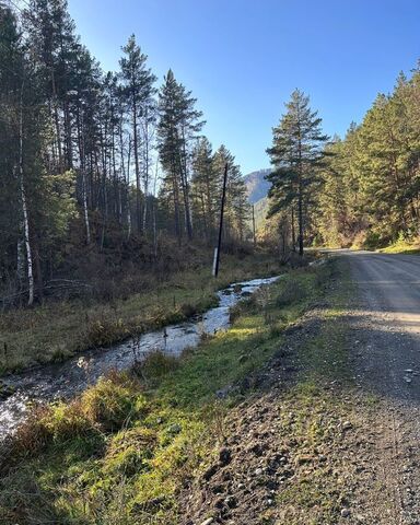 Горно-Алтайск фото