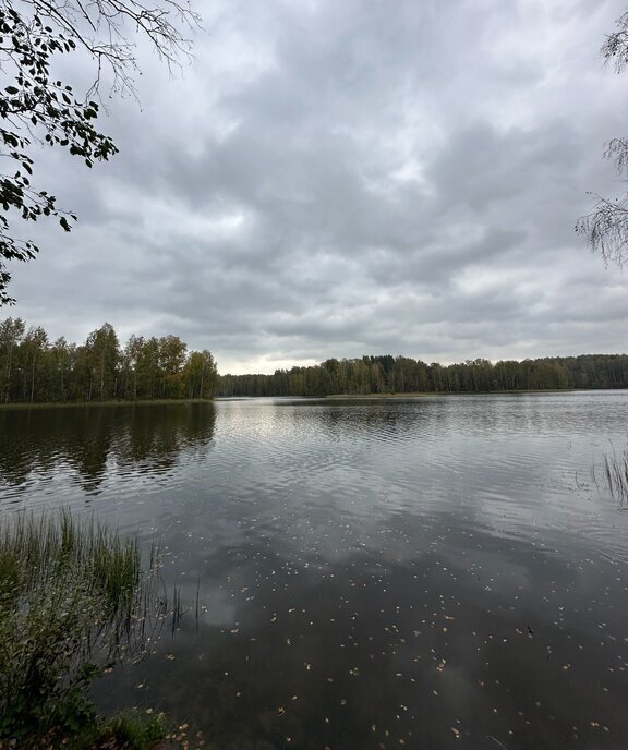 дом р-н Всеволожский снт Лазурное Токсовское городское поселение, 7/2 фото 10